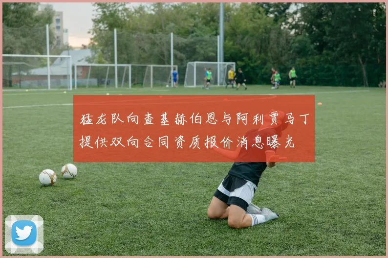 猛龙队向查基赫伯恩与阿利贾马丁提供双向合同资质报价消息曝光