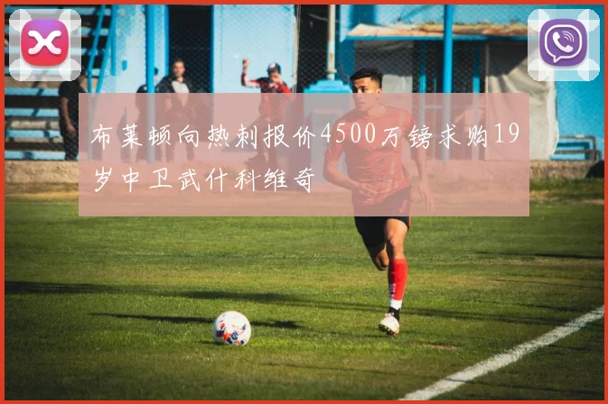 布莱顿向热刺报价4500万镑求购19岁中卫武什科维奇