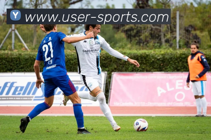 spbo比分网平台生态图
